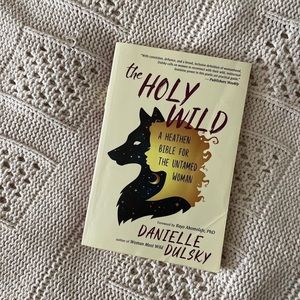The Holy Wild (Book)